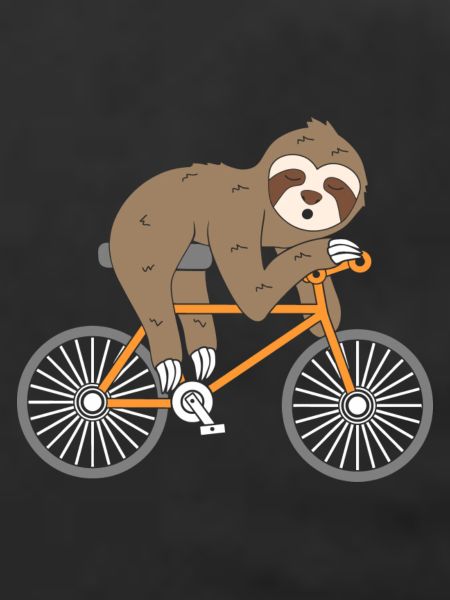 Sloth Bicycle Faultier Fahrrad