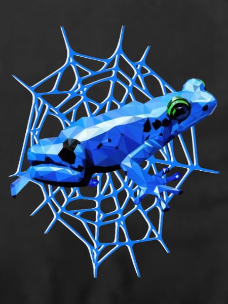 Pfeilgiftfrosch mit Spinnennetz, blauer Frosch