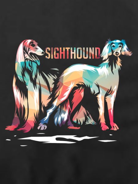 Pfeilschneller Windhund Jagdhund