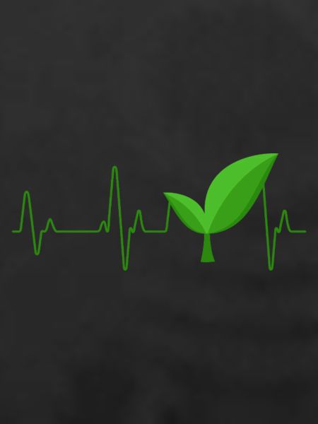 Vegan