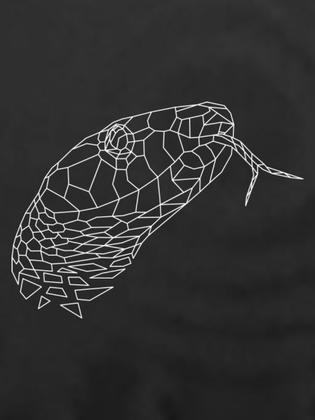 Schlange geometrisch