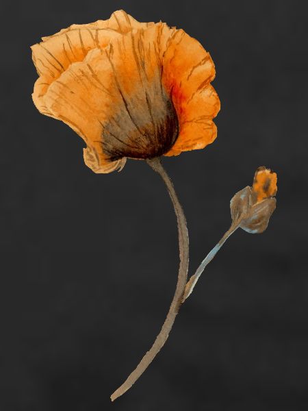 Blume