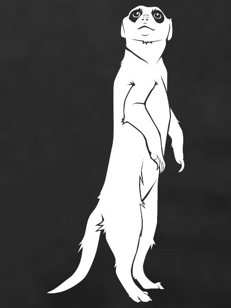 Erdmännchen