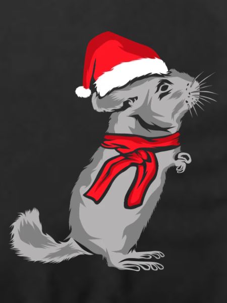 Verschmuste Chinchilla Weihnachtszeit
