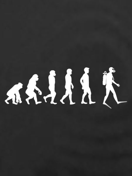 Taucher Evolution