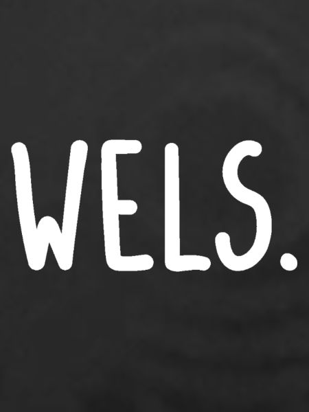 Wels Österreich