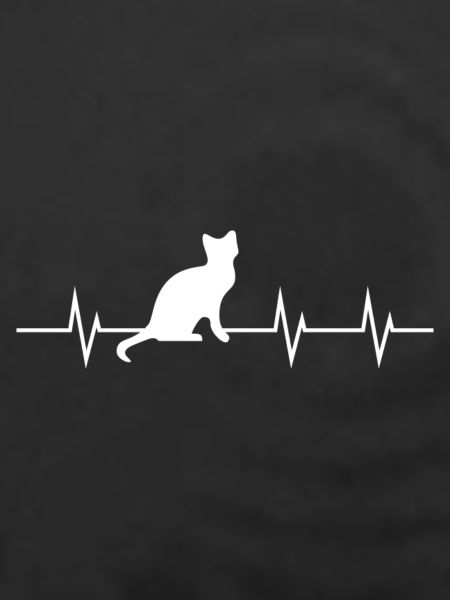 Heartbeat of a Cat