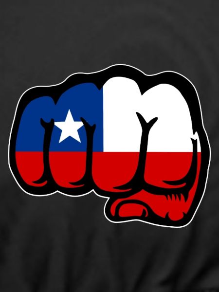 Chile Flagge Faust