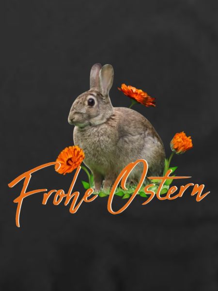 Frohe Ostern Osterhase