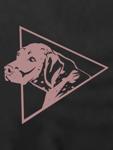 Flinker Deutsch Kurzhaar Jagdhund