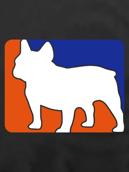 french bulldog1