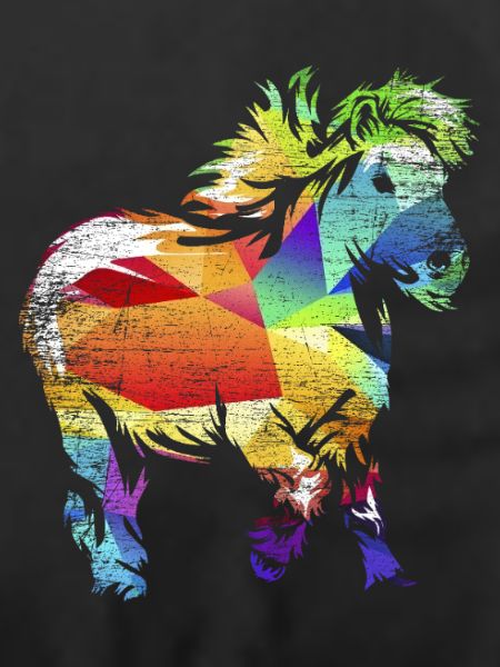 Flockiges Shetlandpony Schottland