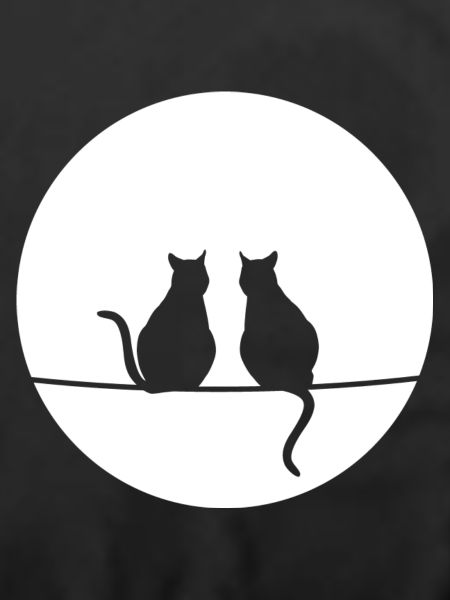 Katzen im Mondschein