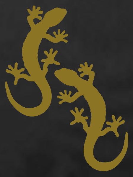 geckos zwei