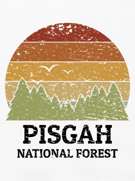 Pisgah National Forest