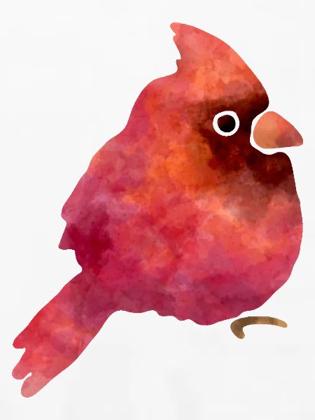 Süsser Vogel