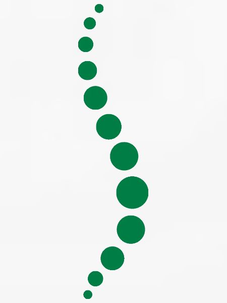 Physio 8 Logo
