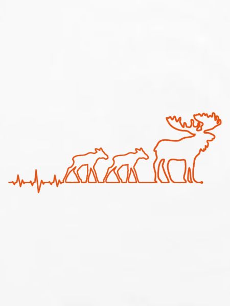 elch moose