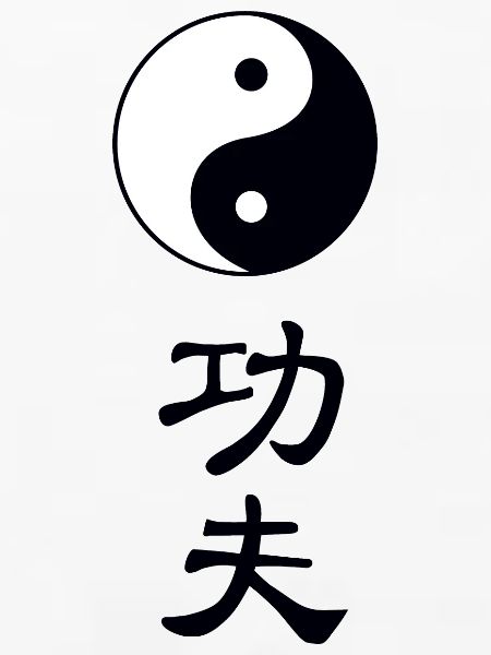 tao kung fu