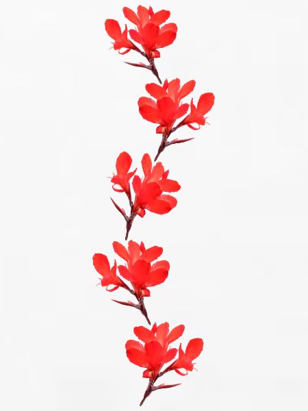 rote Blumen