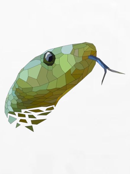 Schlange geometrisch Low Poly