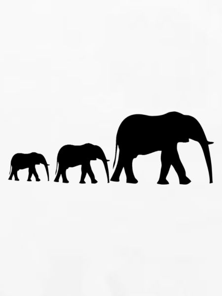 Elefantenfamilie