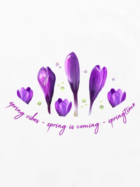 Krokusse Frühling