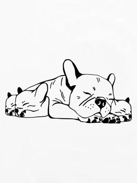 French Bulldog Mama