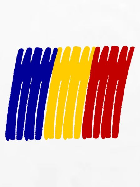 Rumänien painted Flag
