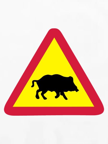 schild wildsau
