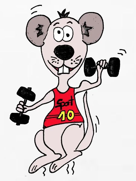 maus mit hantel