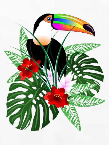 Vogel Tukan