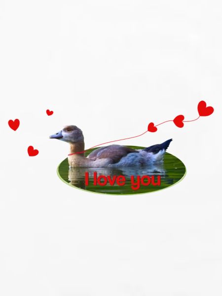 I love you