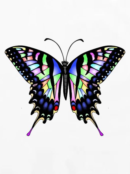 Schwalbenschwanz Schmetterling