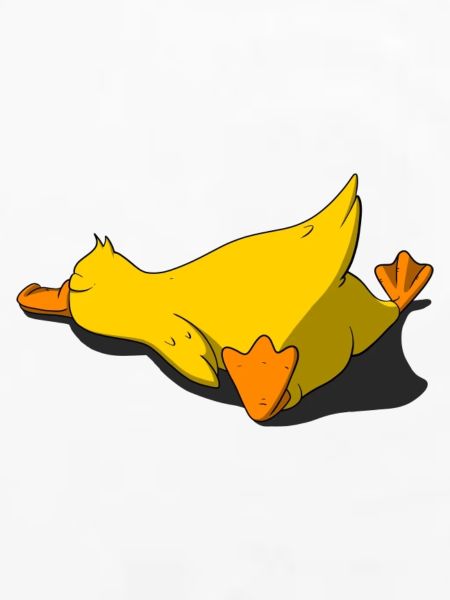 Schlafendes Küken