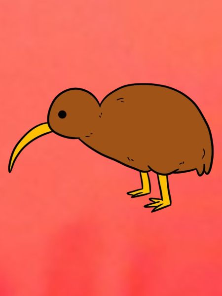 Kiwi