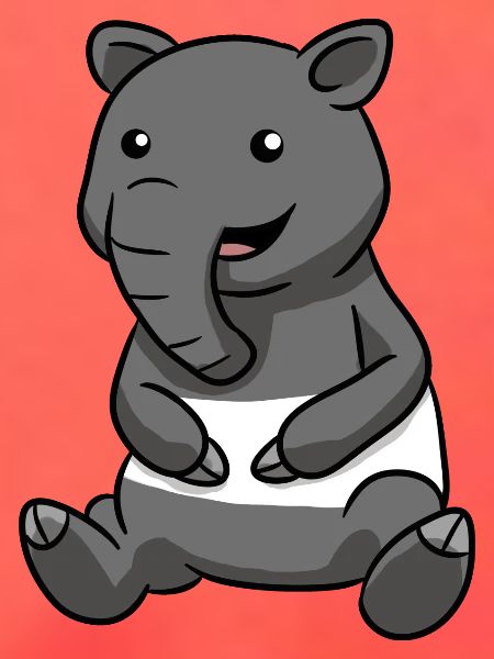 Tapir