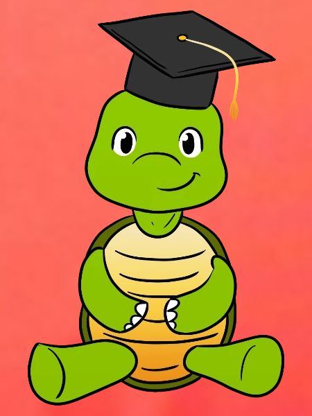 Graduation Turtle