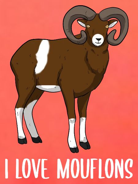 Mufflon