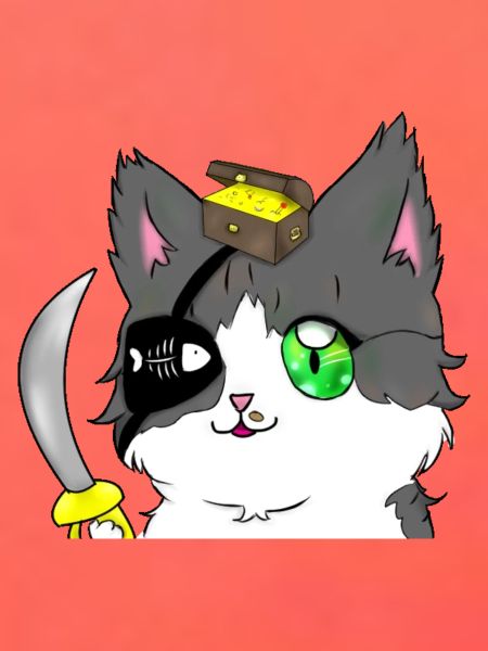Piraten-Chat