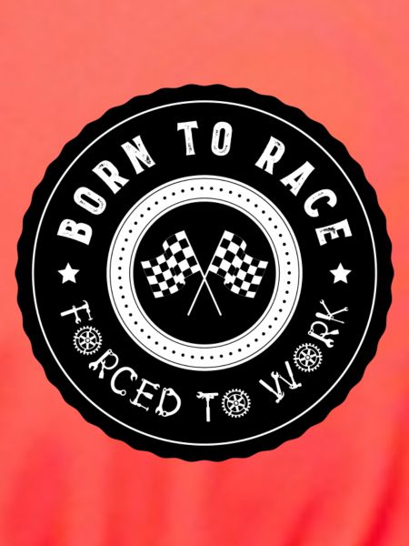 BornTo Race 2