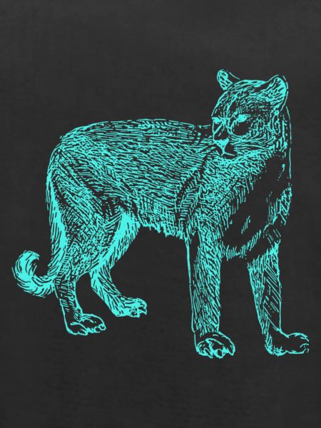 Panther