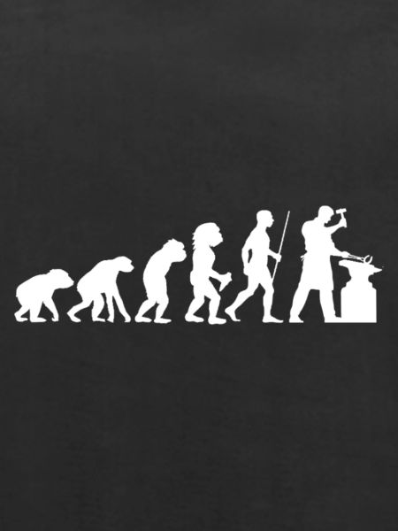 Evolution Schmied