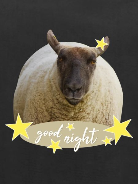 sheep good night
