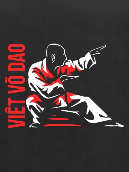 Dynamischer Vovinam Kampfsport