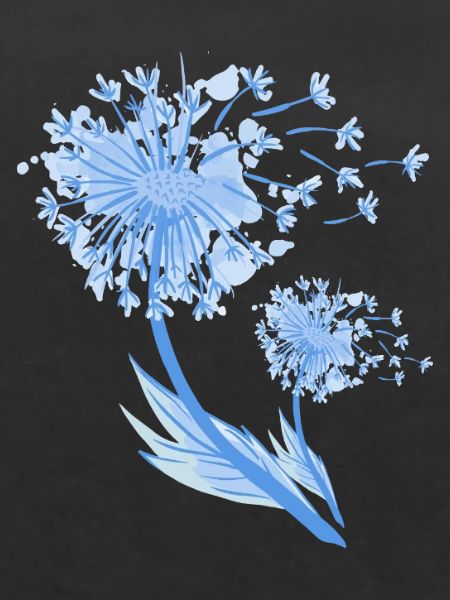Pusteblume