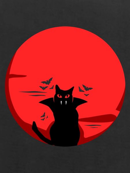 Schwarze Katze Vampir