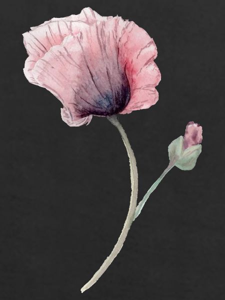 Blume