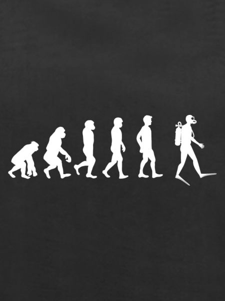 Taucher Evolution