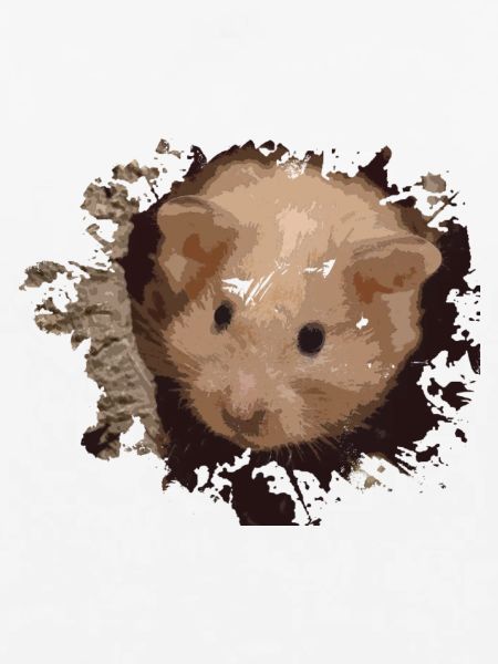 hamster
